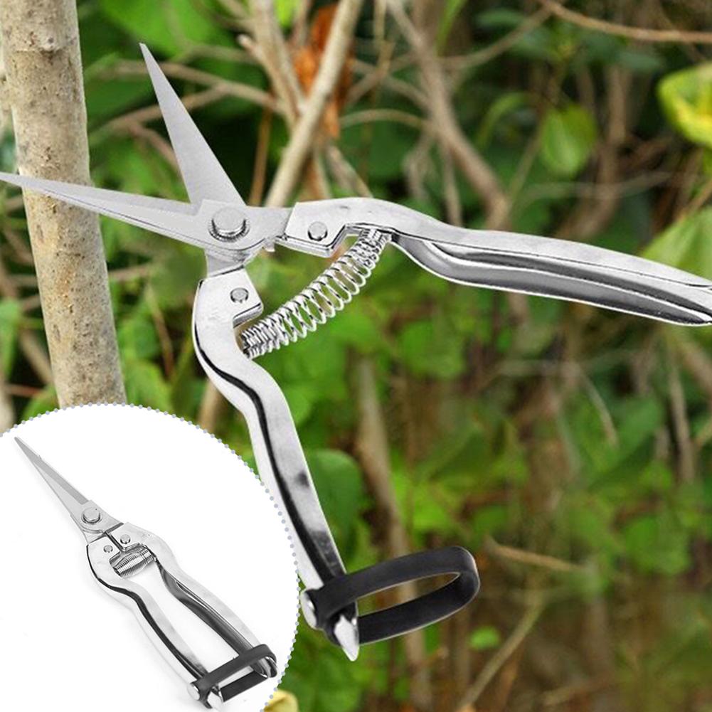 Gardening Hand Tools Yard - Sécateur de jardinage pour la taille