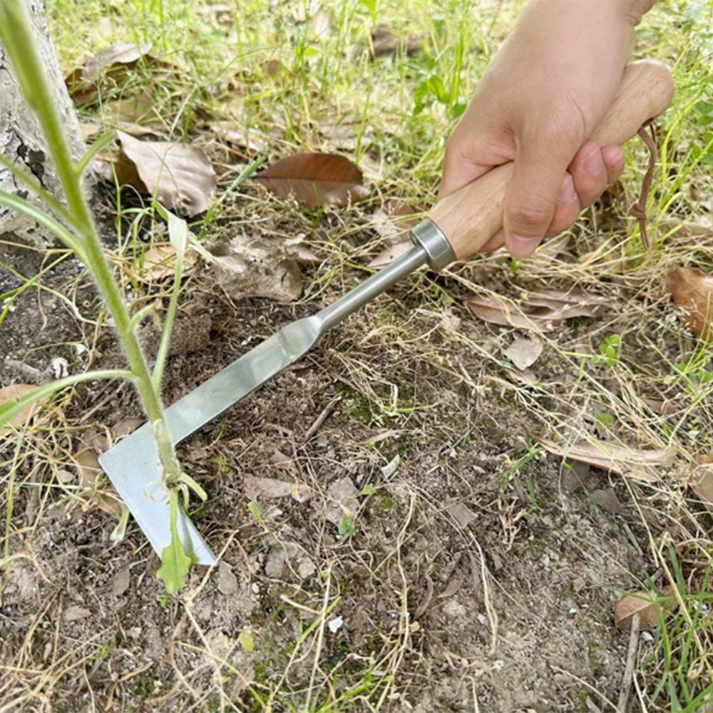 Outil de désherbage en acier i - Gardening Hand Tools Yard avis et prix