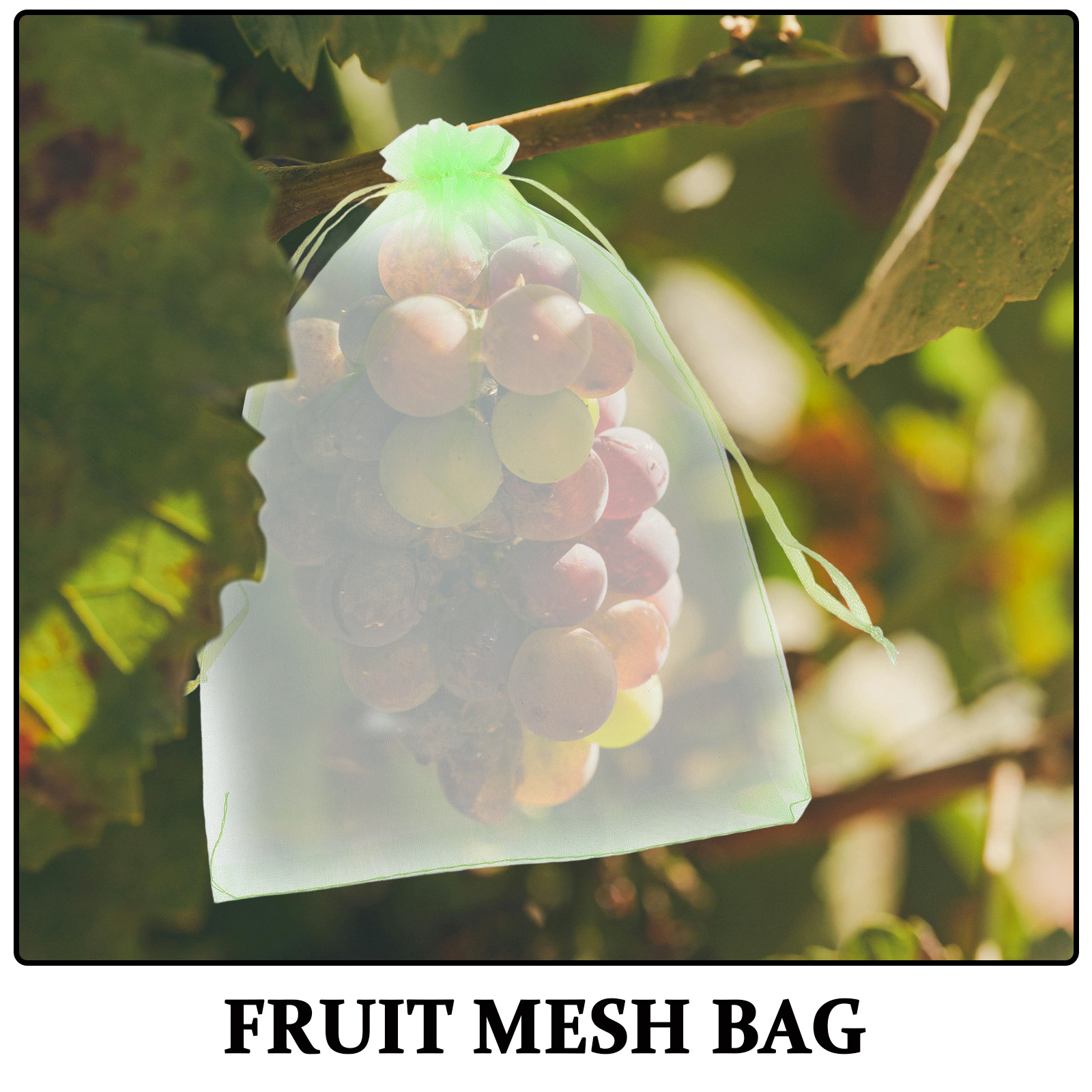 30 sacs en filet pour fruits a - Garden Netting Cover avis et prix