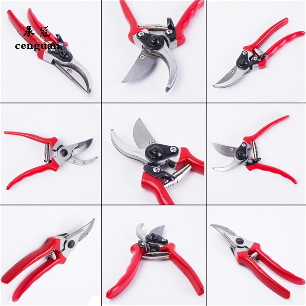 Sécatrices de greffage et d'él - Gardening Tools Quality avis et prix