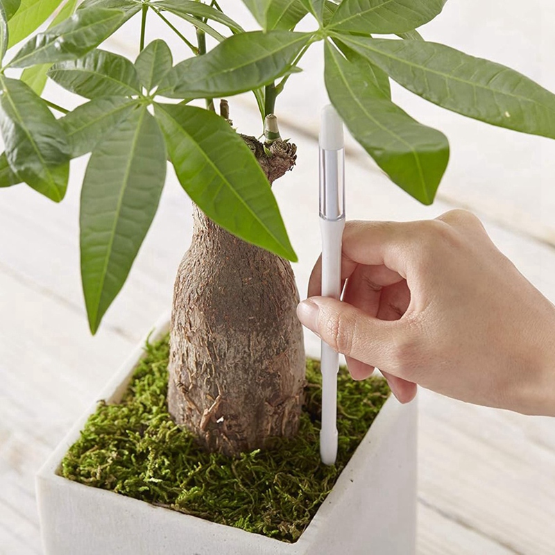 Aquameter, 5 pièces, capteur d - Moisture Meter Plant avis et prix