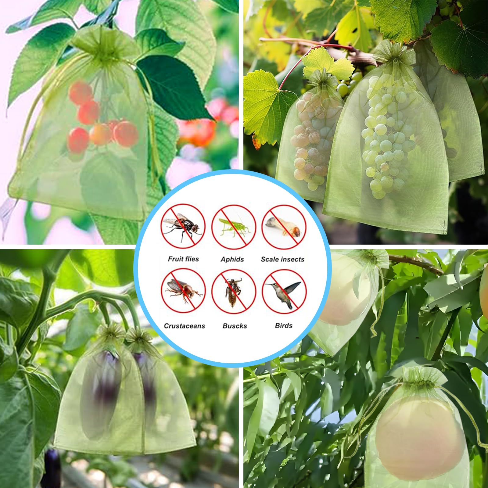 Filet anti-oiseaux efficace, s - Garden Netting Cover avis et prix