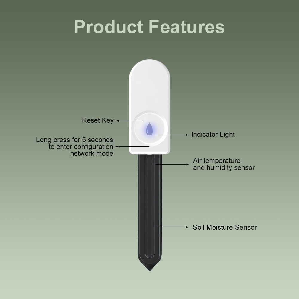 Testeur d'humidité du sol ZigB - Moisture Meter Plant avis et prix