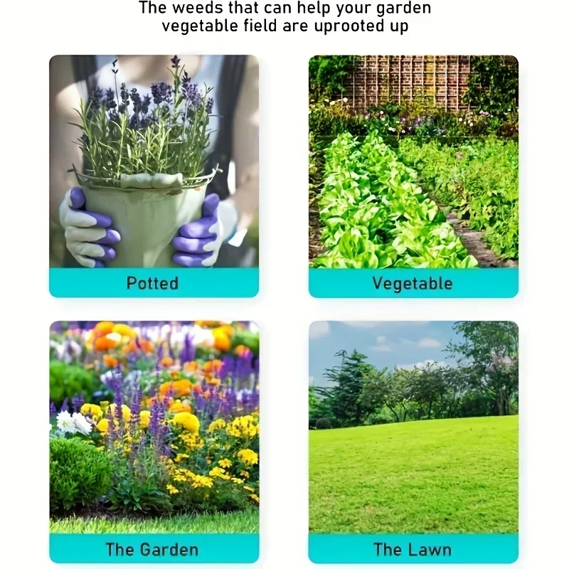 Tête de désherbage noire de re - Gardening Tools To Remove Weeds avis et prix