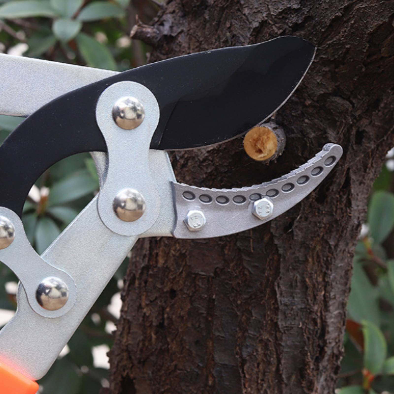Sécateurs télescopiques à lame - Gardening Tools In avis et prix