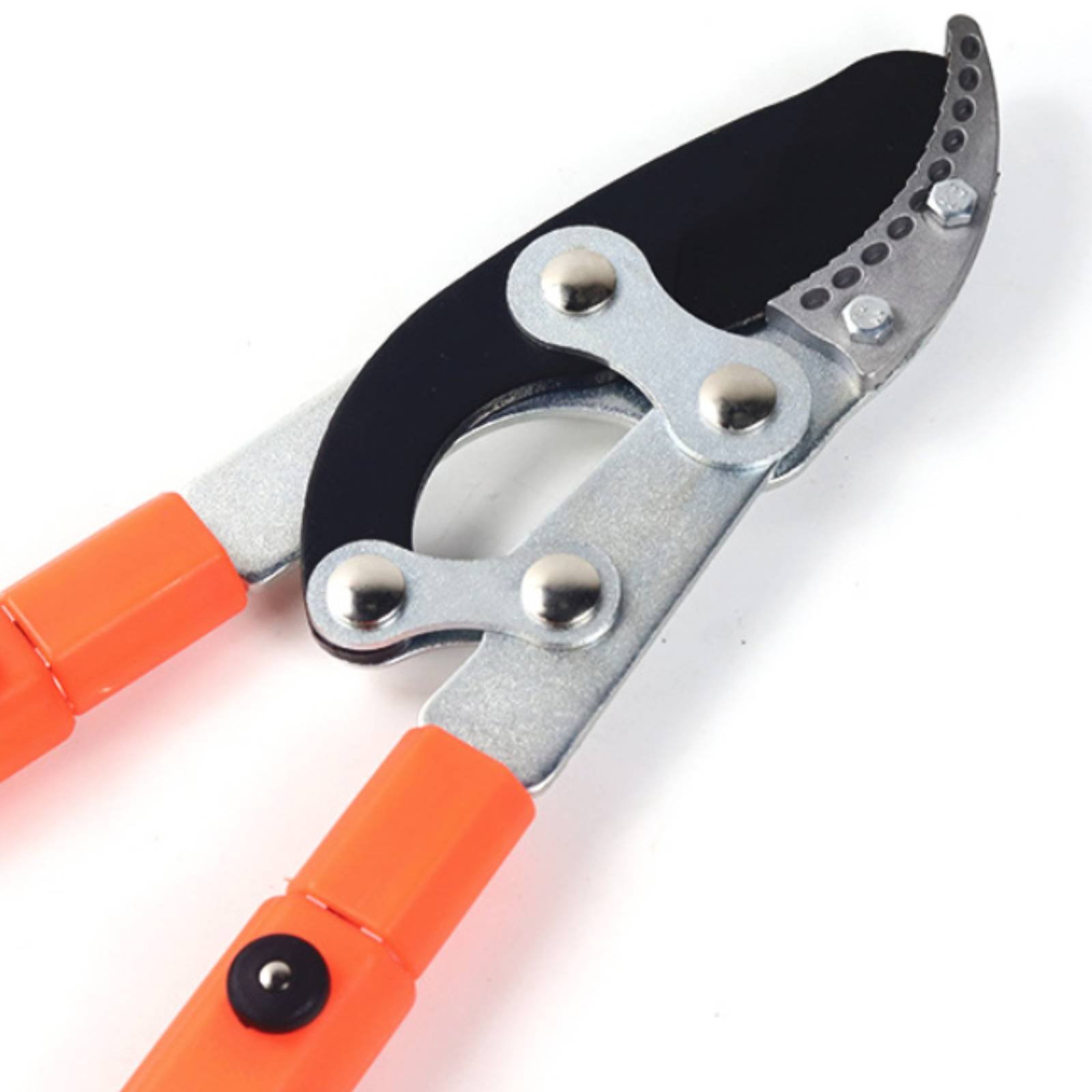 Sécateurs télescopiques à lame - Gardening Tools In avis et prix