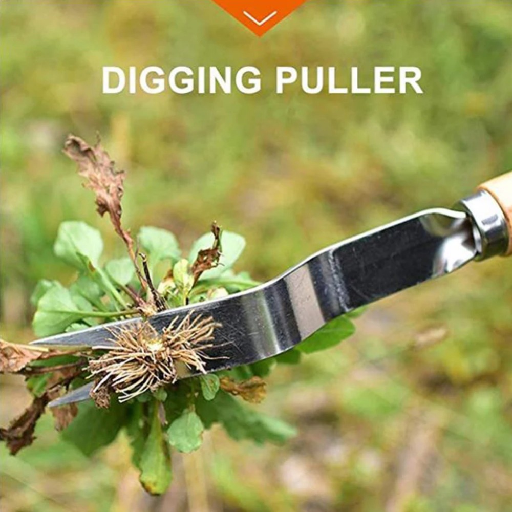 Désherbeur de jardin en acier  - Gardening Tools To Remove Weeds avis et prix